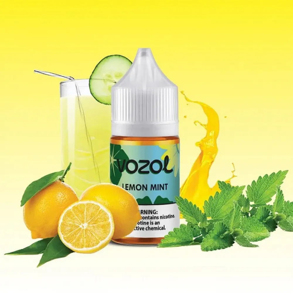Vozol-Bar-Lemon-Mint-30 Lemon Mint Salt Likit