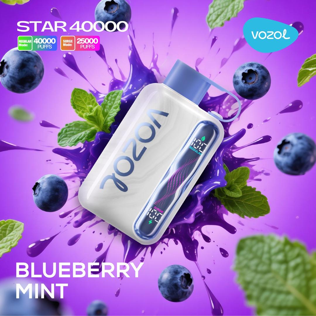 vozol-star-40000-blueberry-mint Vozol Star 40000 Blueberry Mint